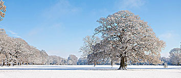 利物浦锋线偶发失常,频频错失进球良机