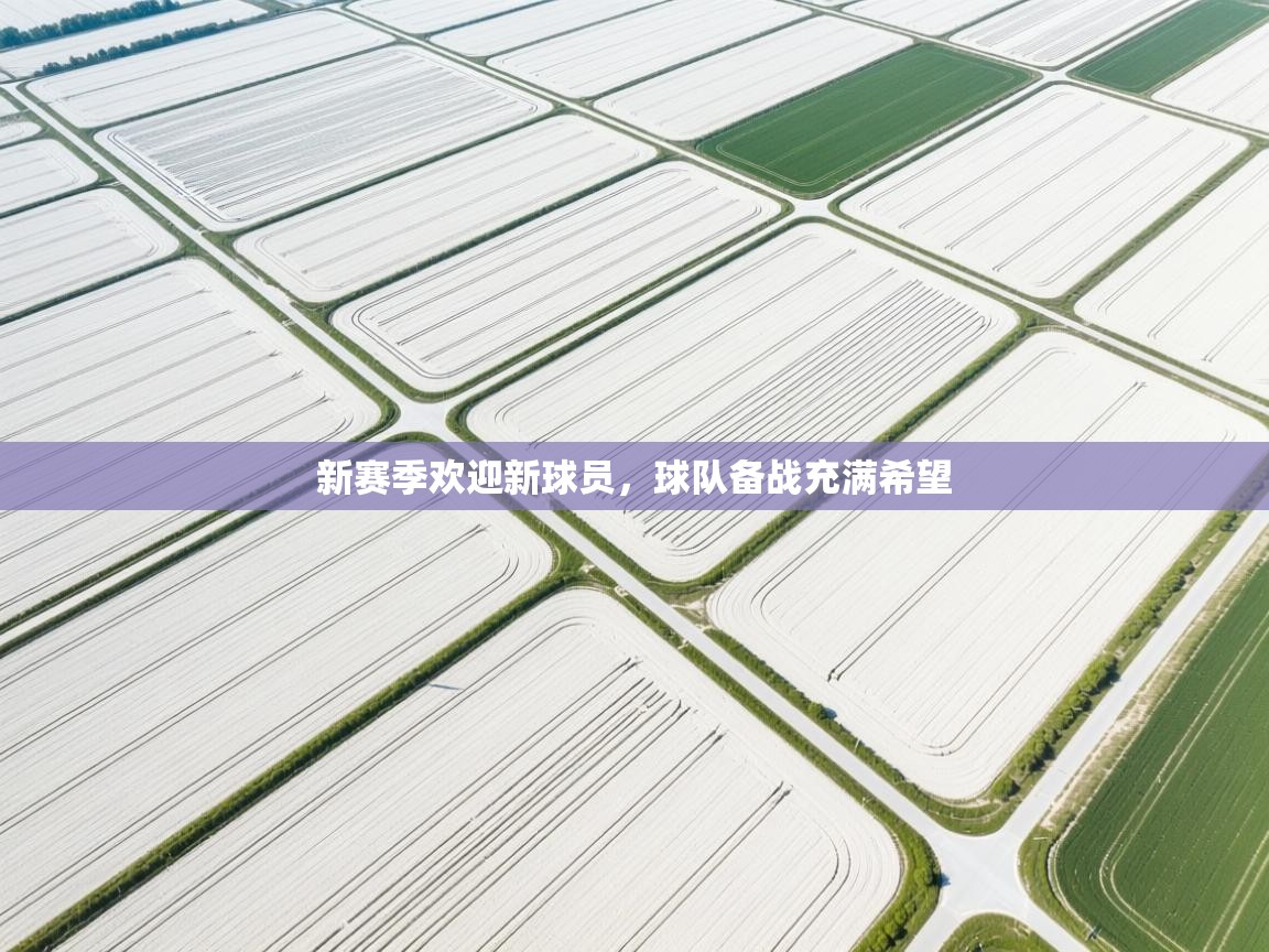 新赛季欢迎新球员,球队备战充满希望 第2张